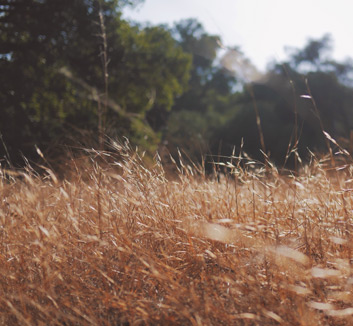 拜仁慕尼黑逐鹿弗赖堡，雪中送炭取胜